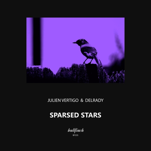 Delrady, Julien Vertigo - Sparsed Stars [BF335]